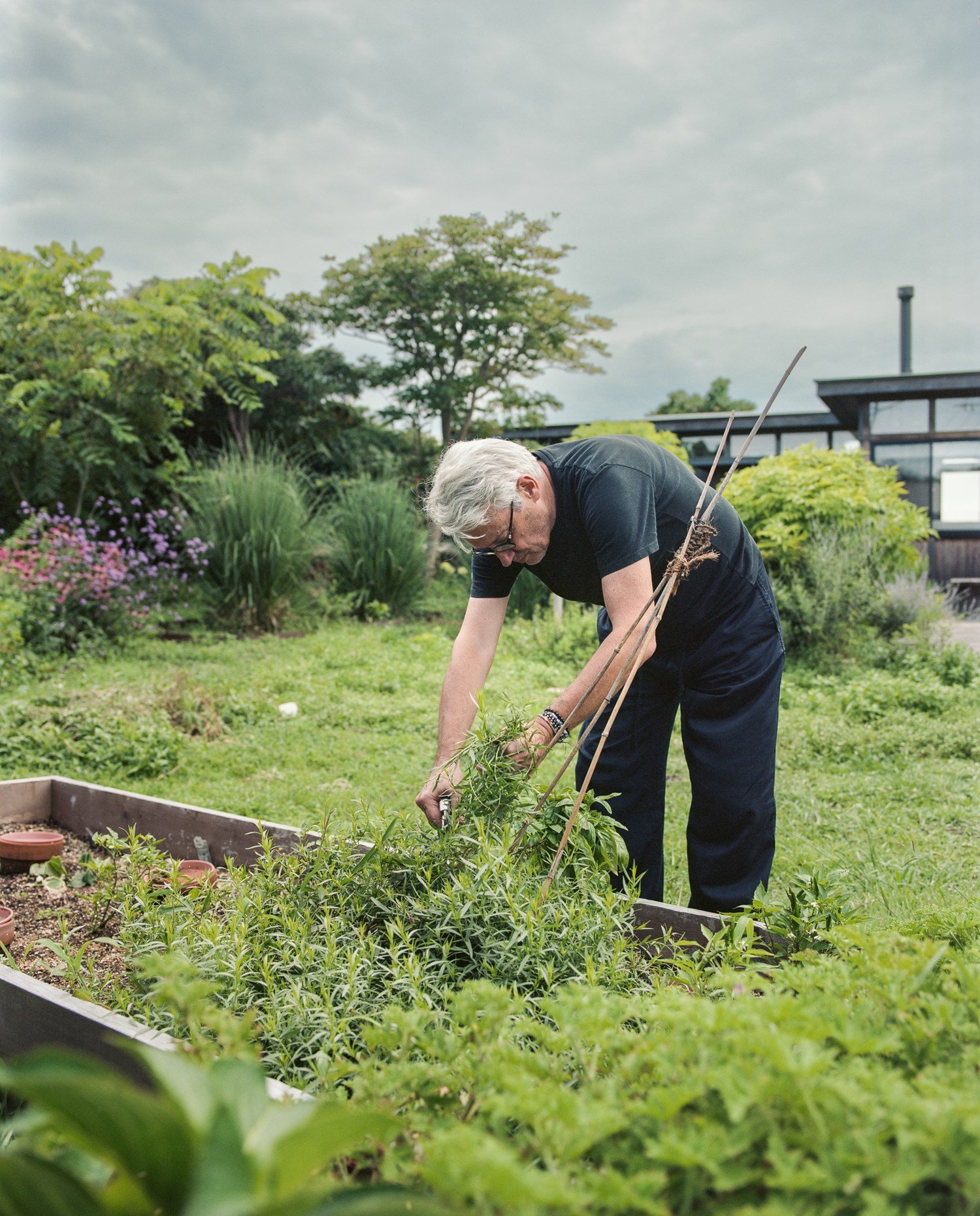 Philippe gardening in a lush backyard.
 Philippe gardening in a lush backyard.