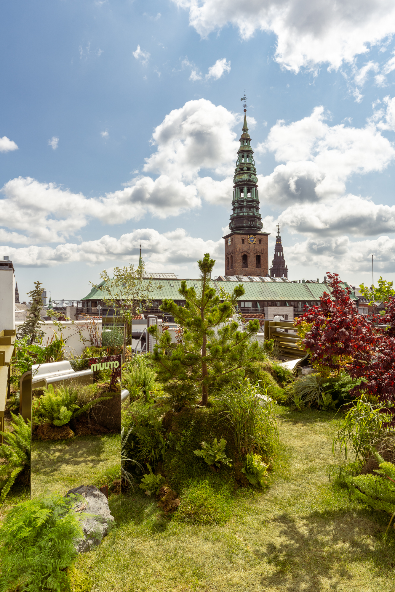 An image of the Dream View Bench placed on a rooftop surrounded by lush green plants and grass, creating a serene and calming atmosphere.