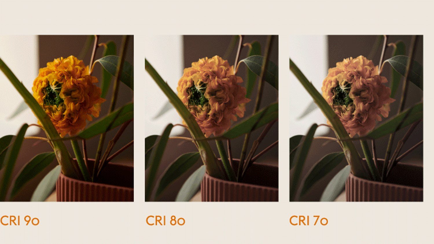 CRI-values_background